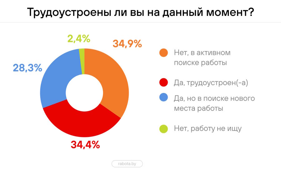 какие еще проблемы возникают у белорусов при поиске работы?