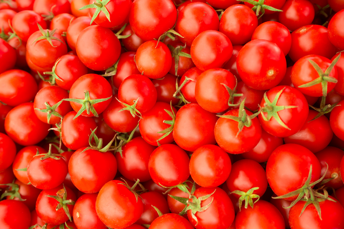 Никогда не поливайте так томаты в теплице: и тогда будете с урожаем