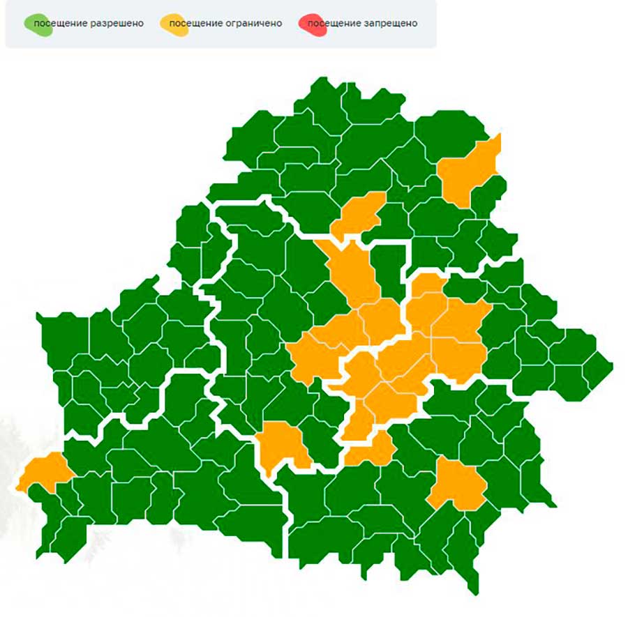 В Беларуси ввели первые запреты на посещение лесов – узнали где | tochka.by