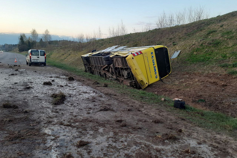 Водитель автобуса Ecolines уснул за рулем по пути из Вильнюса