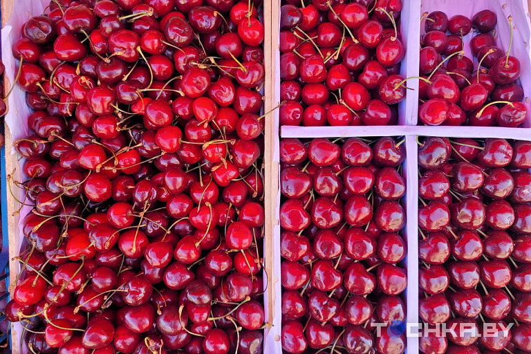 Черешня стремительно дешевеет – почем продают ягоду в Минске