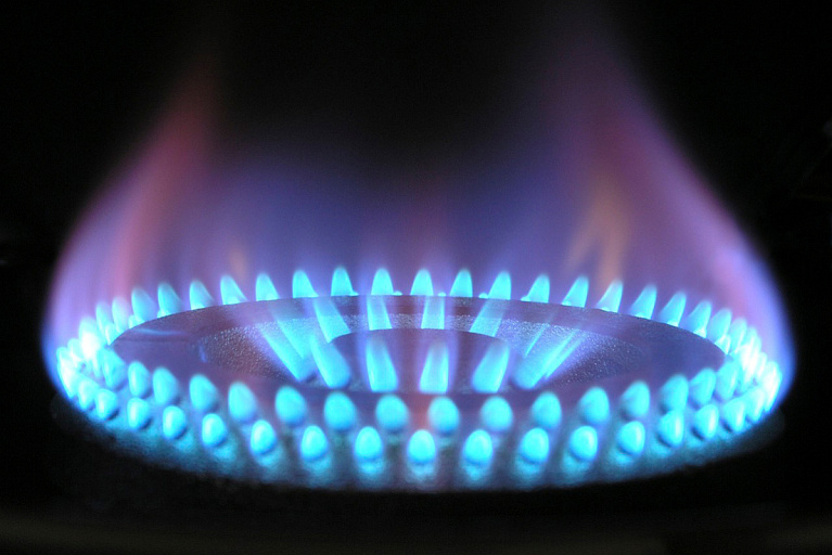 Беларусь согласовала цену на российский газ