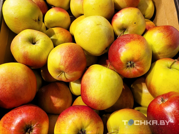 МАРТ объяснил, почему польские яблоки дешевле белорусских