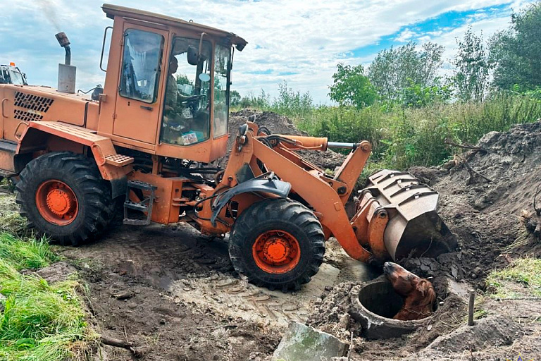 В Пружанском районе лошадь упала в колодец – ее доставали спасатели