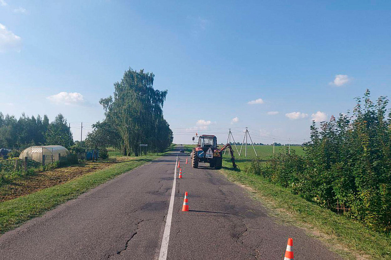 Под Могилевом трактор, косивший траву, зацепил женщину – все обошлось