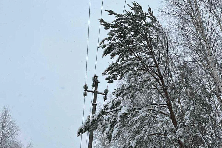 Электричество восстановлено в 240 населенных пунктах Минской области