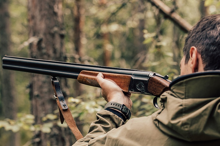 Лесничим в Беларуси могут разрешить применять оружие против нарушителей