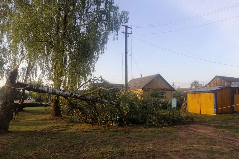 Непогода оставила без света сотни городов и сел Беларуси – фото последствий