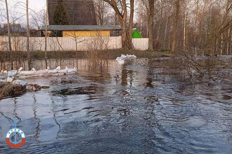 Прорвало дамбу и затопило дом: под Гомелем ночью эвакуировали людей