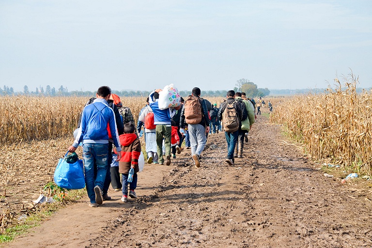 Пограничники Литвы развернули на границе с Беларусью 81 мигранта
