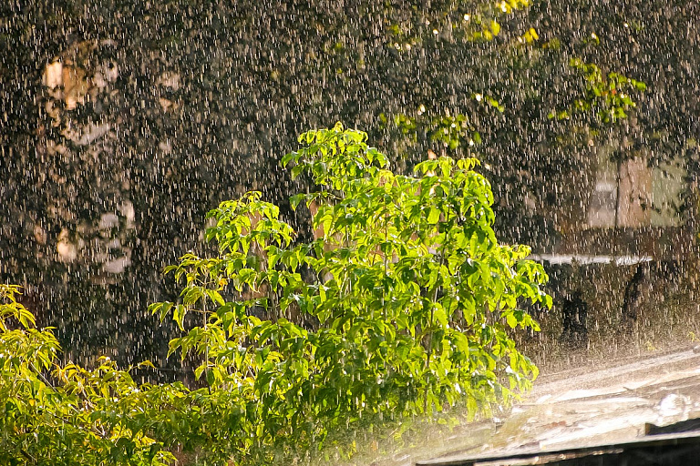 Дождь, солнце, снова дождь – Рябов рассказал о погоде с 17 по 23 июня