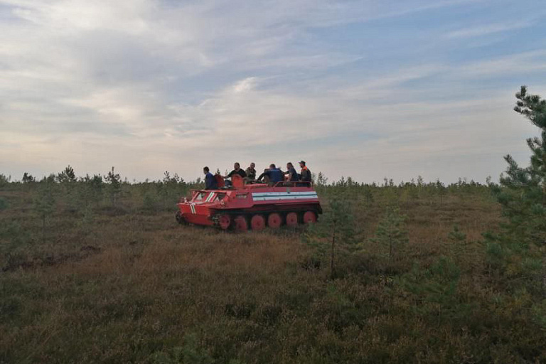 Сильный пожар на болотах рядом с украинской границей потушен – МЧС