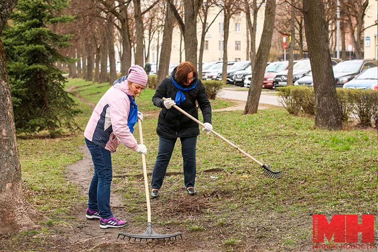 Определили дату субботника – вот куда вы перечислите деньги