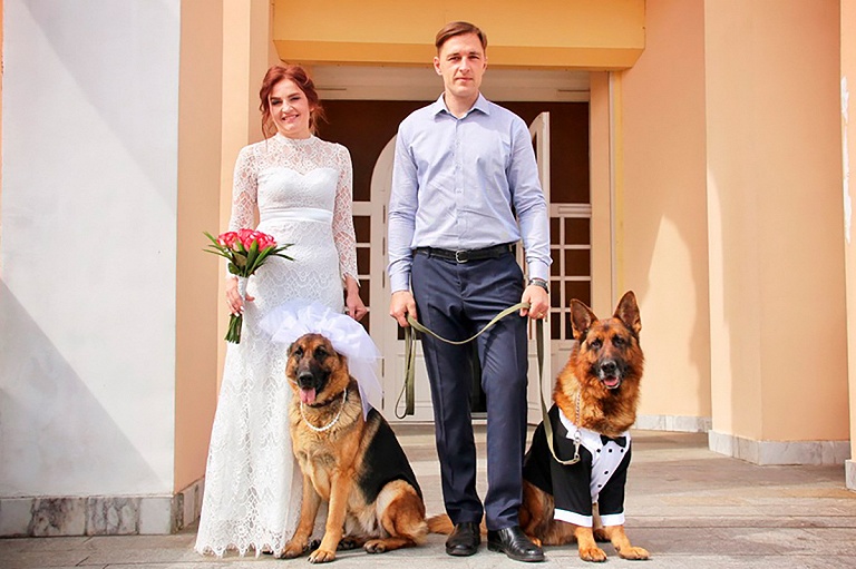 Вместо свидетелей – овчарки: необычную свадьбу провели в Беларуси