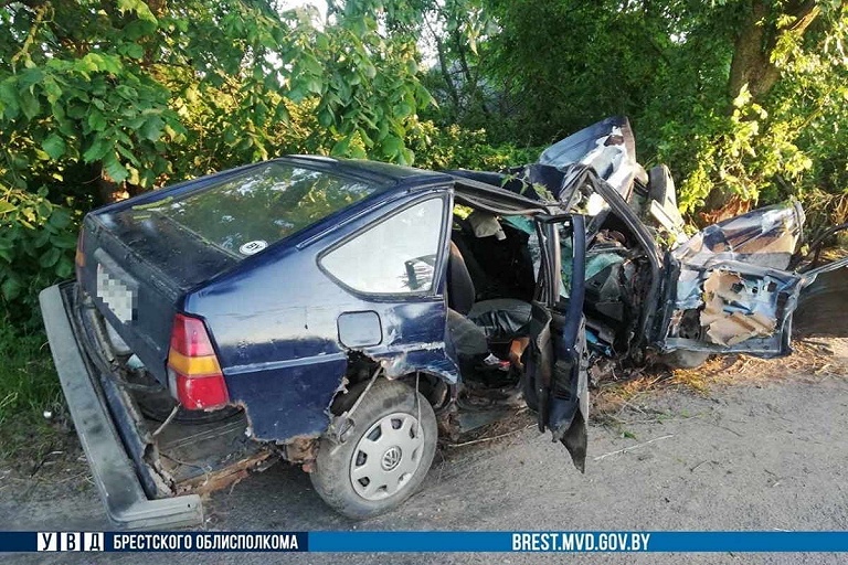 В деревне под Кобрином "бесправник" на Volkswagen Passat влетел в дерево