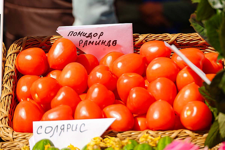 Вывезти белорусские помидоры теперь можно только по лицензии