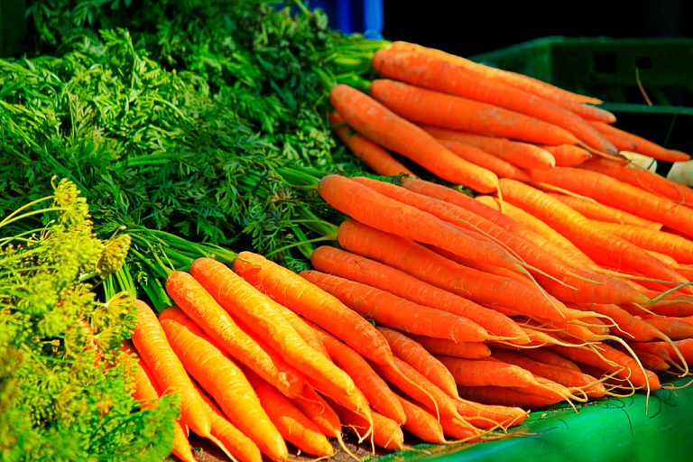 Сорта моркови для Беларуси названия, фото, описание