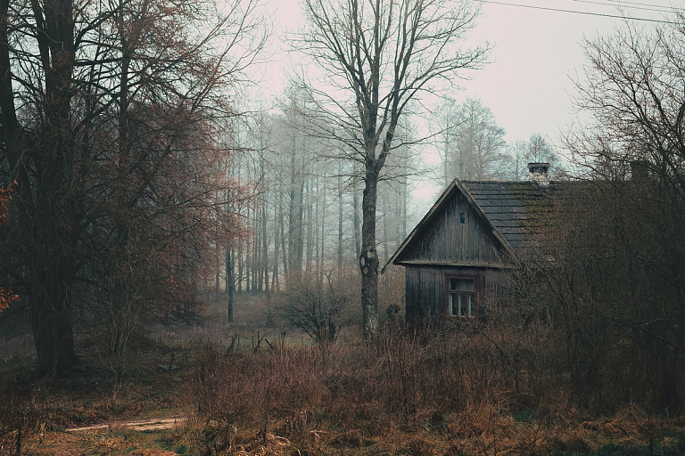 В Беларуси запустили Единый реестр пустующих домов