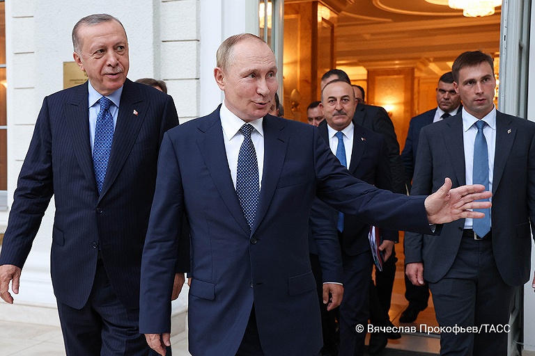 Эрдоган заявил, что турецкие банки переходят на российскую платежную систему
