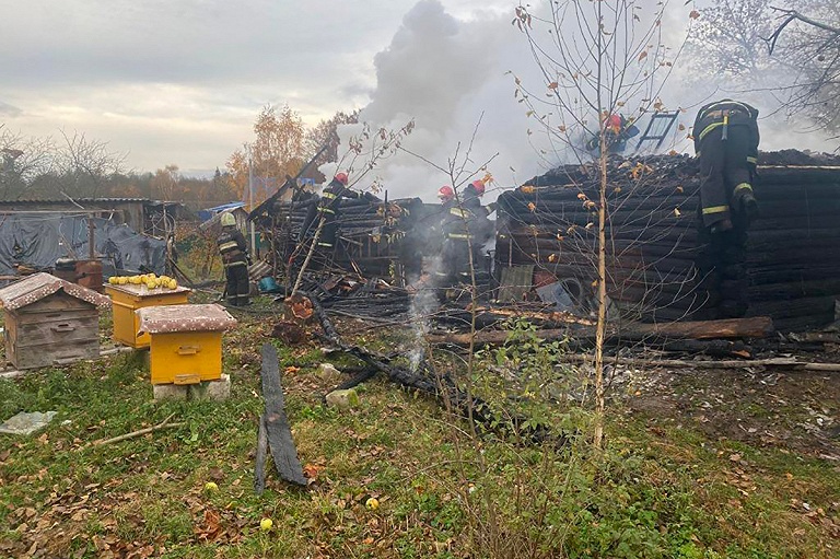 Пенсионер избавлялся от осиных гнезд с помощью паяльника и сжег сарай