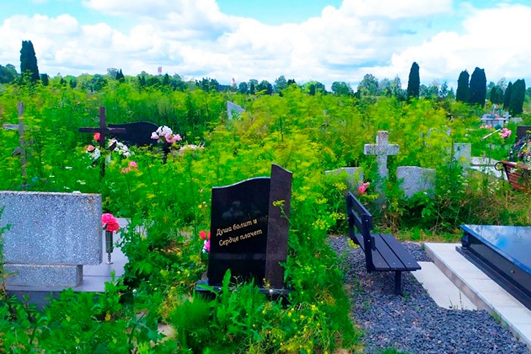 Борщевик вырос выше памятников – кто должен косить траву на кладбище