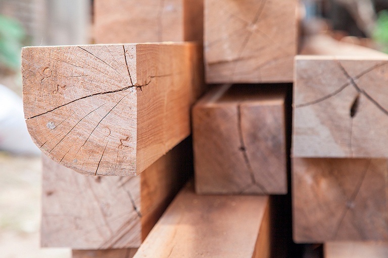 Цены на древесину для физлиц станут меньше в среднем на 15%