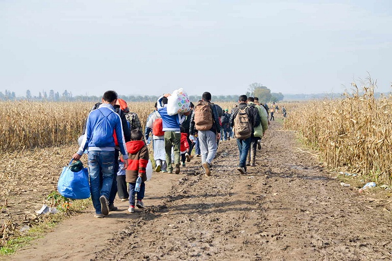 Литовские пограничники задержали рекордное число мигрантов в этом году
