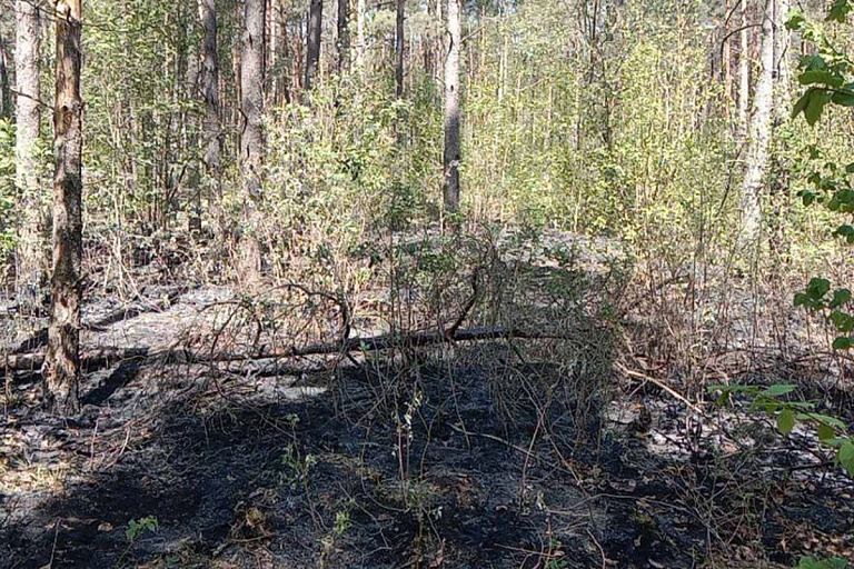 В стране сохраняется третий уровень пожарной опасности