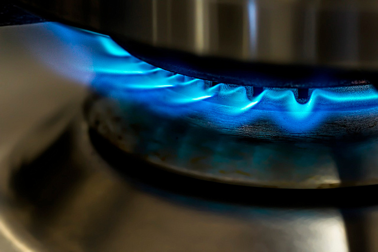 Беларусь проведет переговоры с Россией по цене на газ – указ