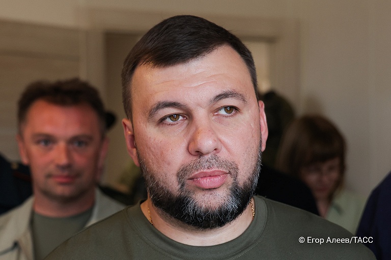 Пушилин заявил о возможном расстреле наемников в самопровозглашенной ДНР