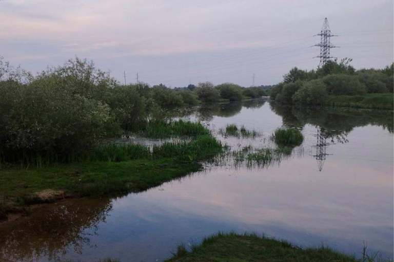 В Жлобинском районе во время празднования Купалья мальчик упал в костер