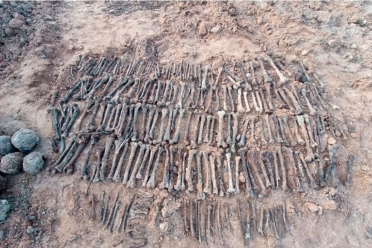 В Могилеве во время ремонта теплотрассы нашли тысячи человеческих костей