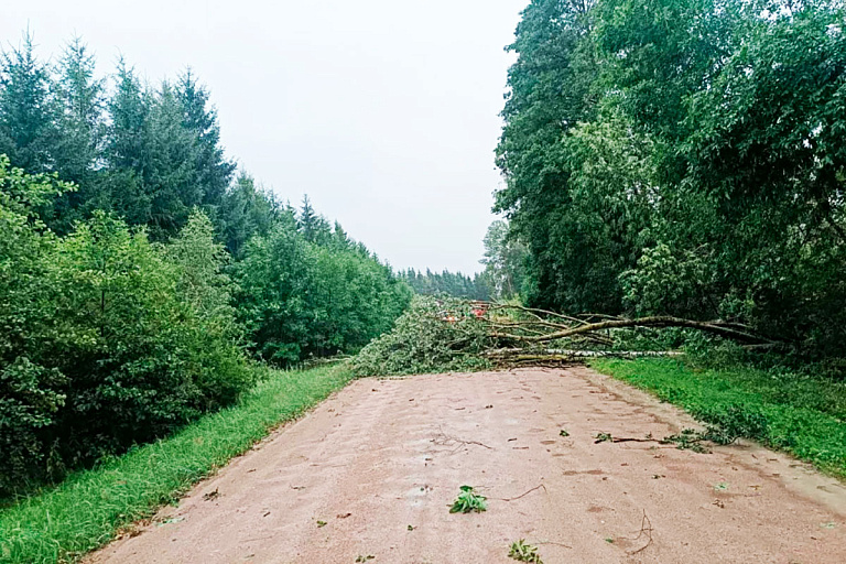 Сводка МЧС: из-за непогоды погиб еще один человек и травмированы дети