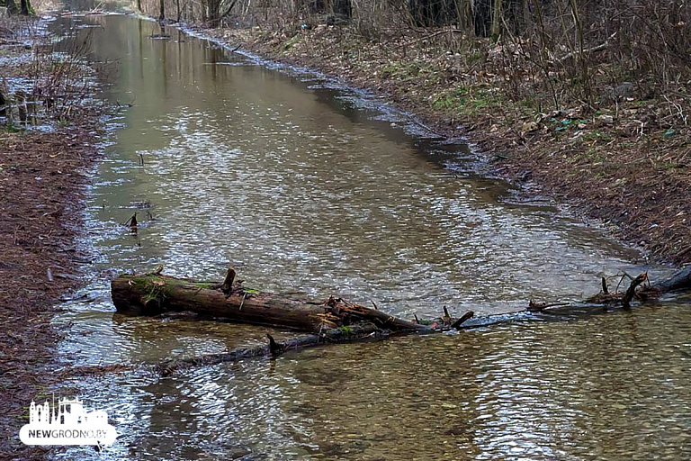 Велодорожка в Гродно превратилась в реку – видео