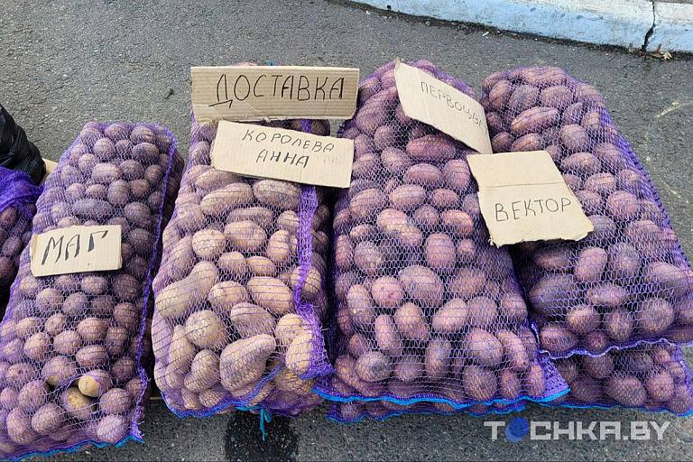 Белорусы пошли на "уголовку" ради картошки