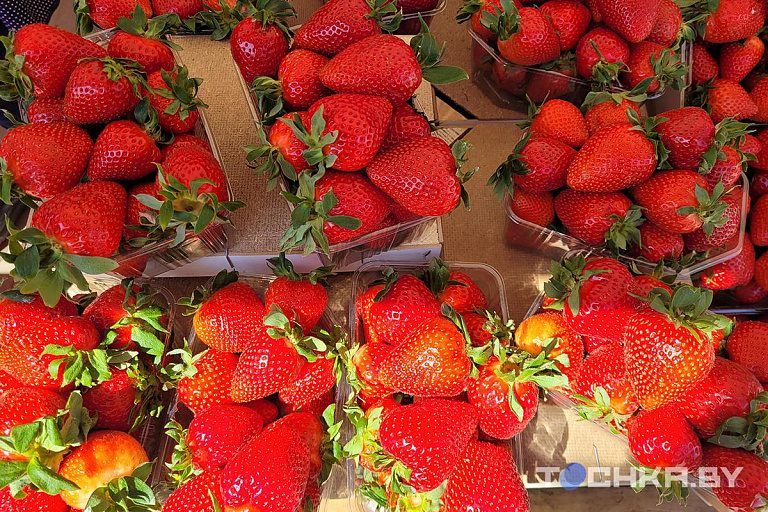 Клубничка для народа: почем сейчас ягода на рынках и когда ждать белорусскую
