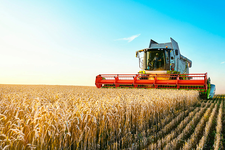 Зерновое эмбарго: ЕС ввел запретительные тарифы на импорт из Беларуси