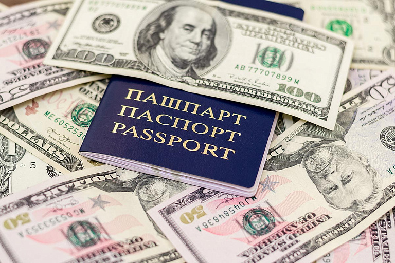 Подследственные выводы: россияне попытались незаконно вывезти валюту на 880 млн