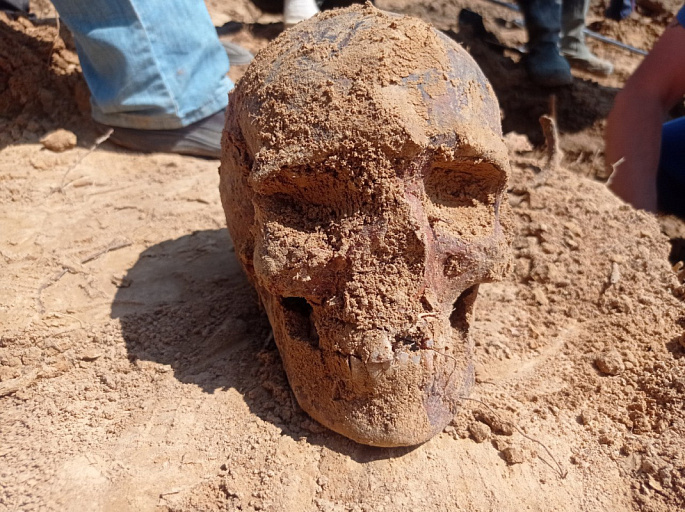 В Дзержинске нашли более сотни скелетов – их происхождение неизвестно