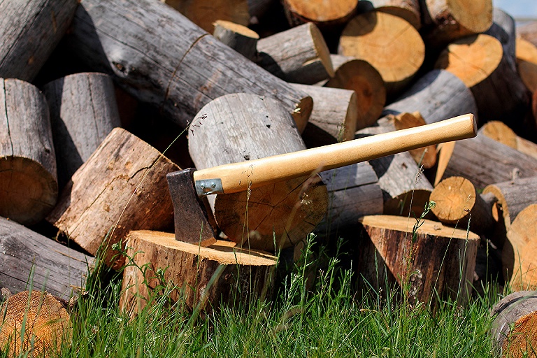 Минлесхоз опроверг информацию о проблеме белорусов с закупкой дров