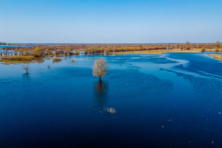 Красоты Полесья: в Беларуси снова можно отправиться в речной круиз
