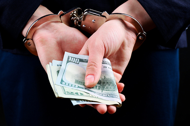 За полгода финансовая милиция выявила более 500 преступлений