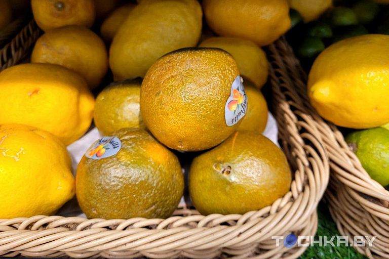 В магазинах Минска появились шоколадные апельсины, но они не всем по карману