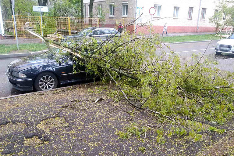 В Могилевской области объявлен красный уровень опасности