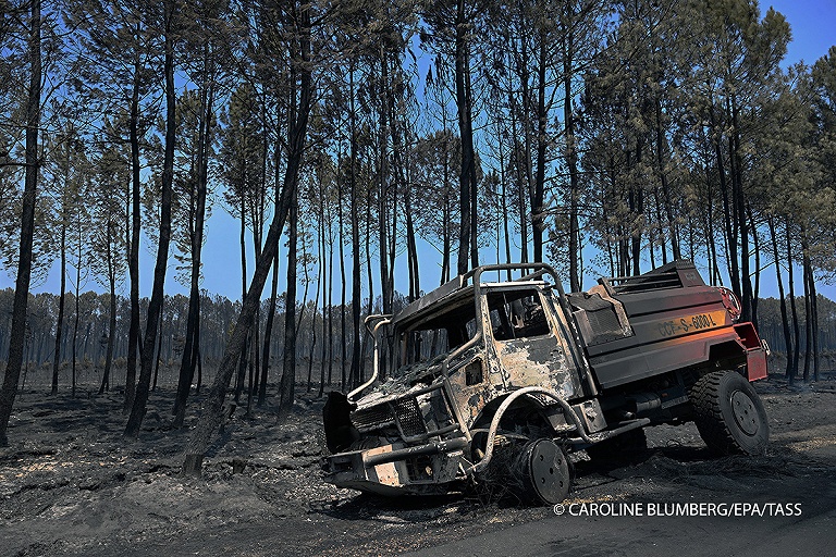 Лесные пожары полыхают сразу в нескольких странах