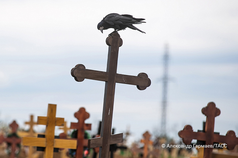Минобороны России обвинило спецслужбы Украины во вскрытии могил на кладбищах