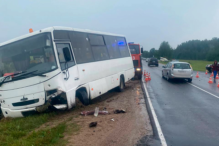 Под Вилейкой автобус с детьми-инвалидами столкнулся с легковушкой