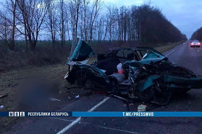 В жуткой аварии под Березой погибли двое