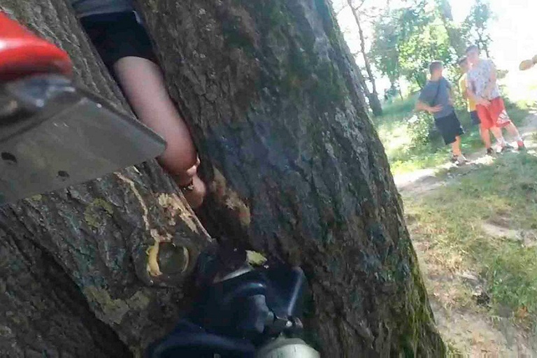 Ребенок застрял на дереве в Гродно, пришлось вызывать МЧС – видео