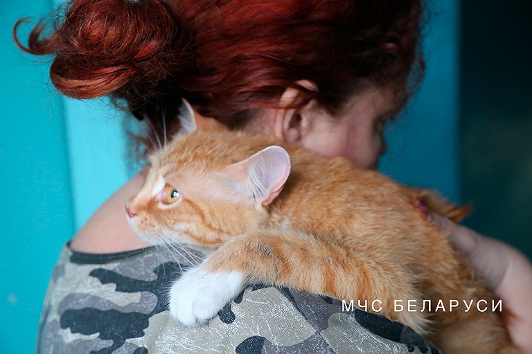 На пожаре в Минске спасли трех человек, двух котов и одну собаку